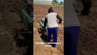 #Persiapan lahan bawang merah#mini tilage machine