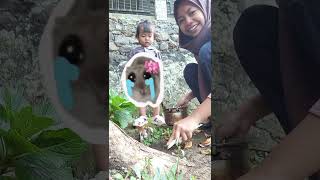 Vlog abal anak imup keren nama Nafizha Syefa Alifya xtb 2