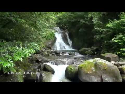 Путешествие по Грузии заповедник Кинтриши საქართველო კინტრიშის ნაკრძალი