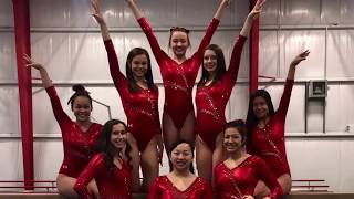 Lhs Gymnastics 17-18