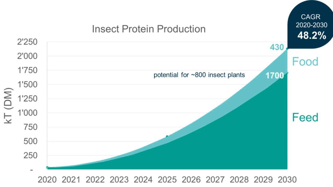 Webinar: Insect processing | Part 3: Insect farming global market trend ...