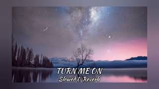Turn Me On [ slowed + reverb ] Resimi
