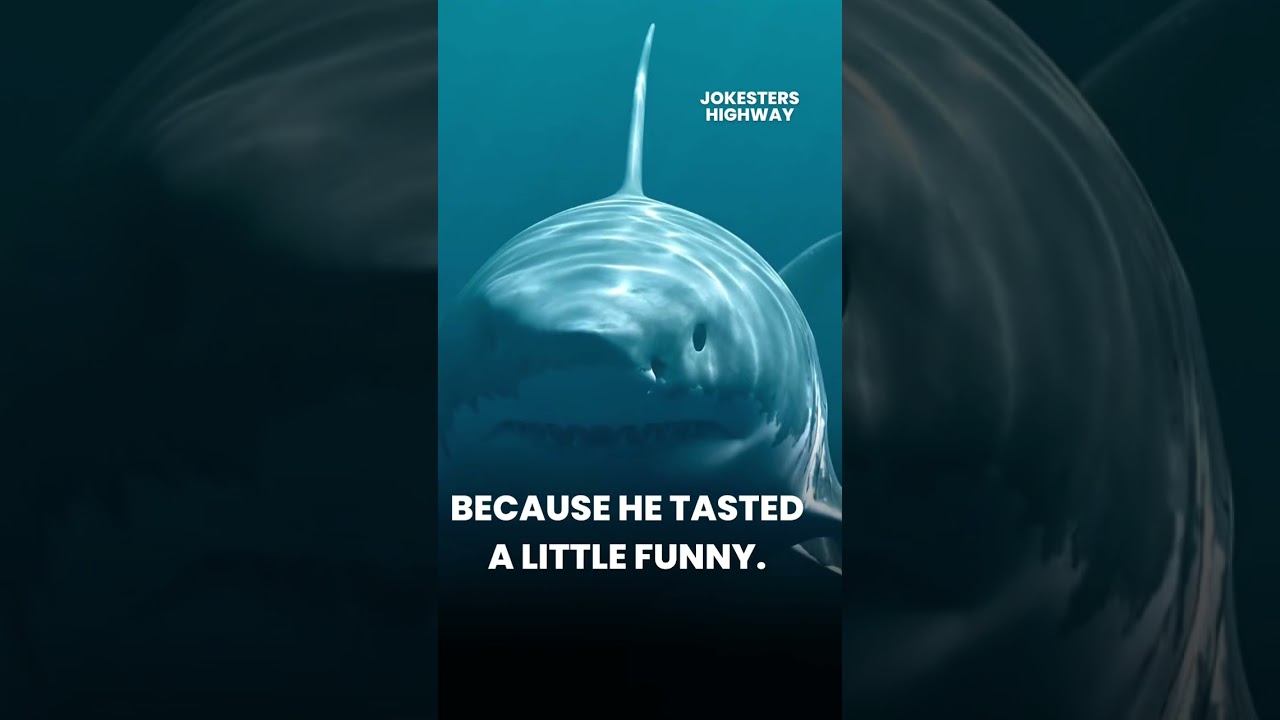 Why did the shark refuse to eat the clownfish? 