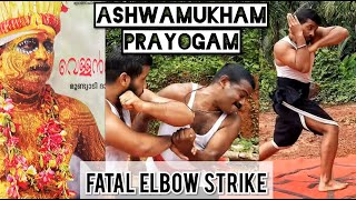 FATAL ELBOW STRIKES / KALARI ASHWAMUKHAM PRAYOGAM