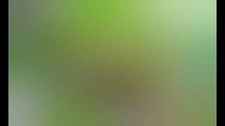 SUARA CIBLEK PIKAT MP3 CIBLEK SEMI 100% AMPUH