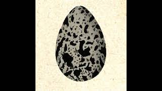 Download Lagu Folklore Tapes - 2013 - BIRDomenlore MP3