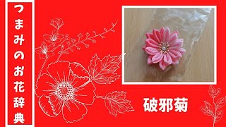 剣菊だけどただの剣菊じゃない！破邪菊の作り方　つまみ細工でお花を作ろう　～つまみのお花辞典～