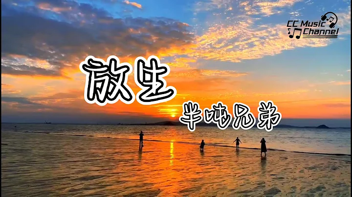 半吨兄弟 - 放生‘我也放你一个人生活’ #动态歌词 #流行歌曲 #好歌分享 #lyrics  #抖音歌曲 #抖音歌曲 #抖音热门 🎵 - 天天要闻
