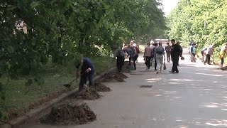 Сотрудники учреждений культуры и образования провели уборку на ул. Чехословацких шахтеров