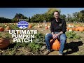 Pumpkins, pig races and rocket-fast slide draw 350,000 visitors to local farm | Bartell's Backroads