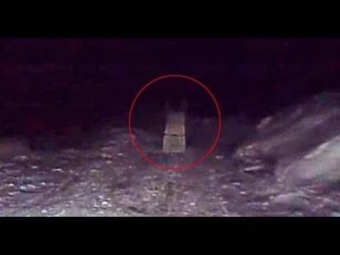 Призрак на дороге/ШАЙТАН НА ТРАССЕ. КАЗАХСТАН
