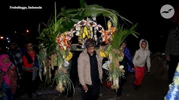 Hindus flock to top of Indonesian volcano for ritual sacrifice