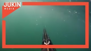 Guy Attacked by Shark While Spearfishing