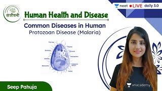 Common Diseases in Human - Protozoan Disease (Malaria) | Human Health and Disease | L9 | Seep Pahuja