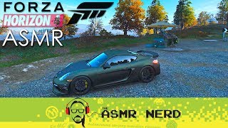 ASMR Gaming | Another Relaxing Drive Through the British Countryside in Forza Horizon 4 screenshot 5