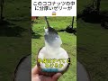 このココナッツの中に分厚いゼリーが 😱