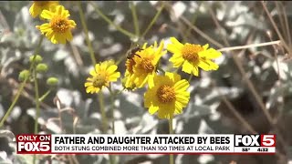 Bees attack father and daughter at Las Vegas park