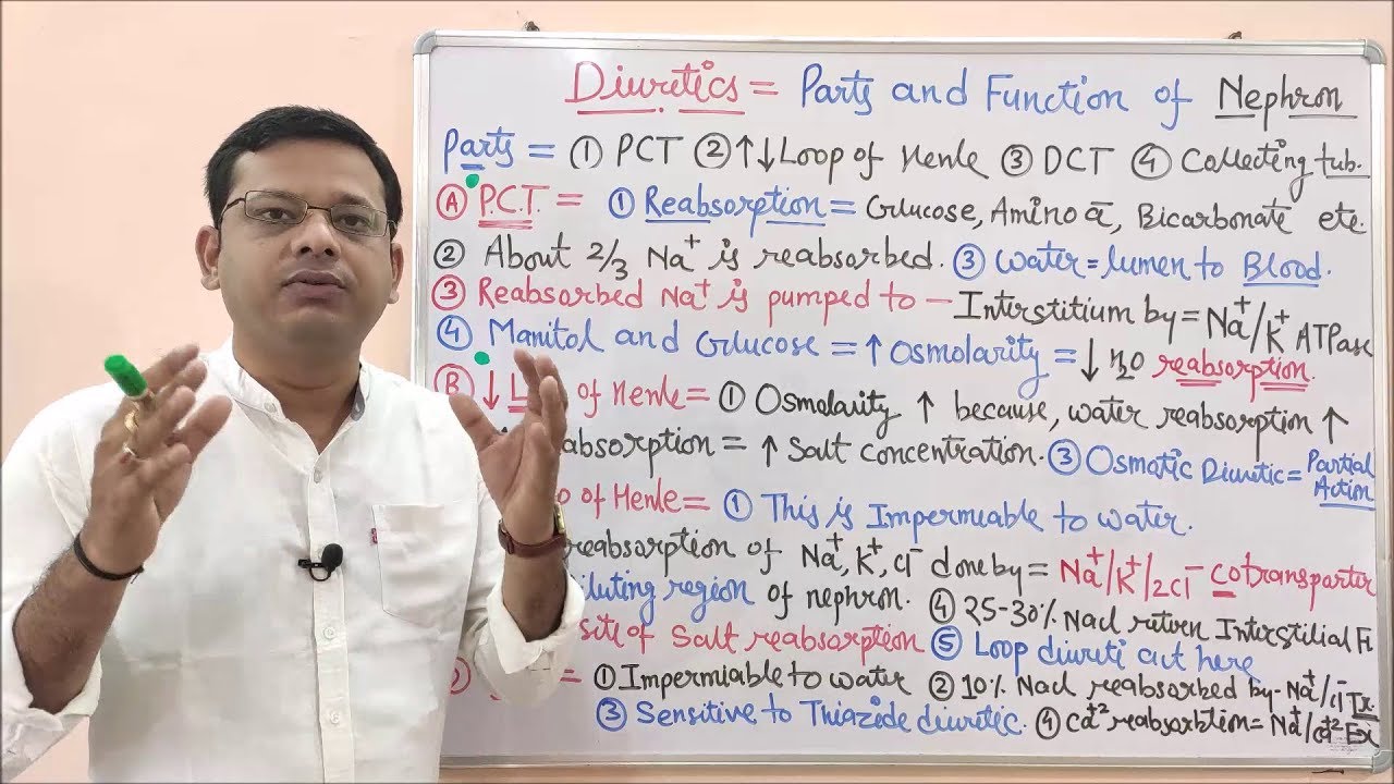 Diuretic Part 02 Parts And Functions Of Nephron In Hindi By Solution Pharmacy