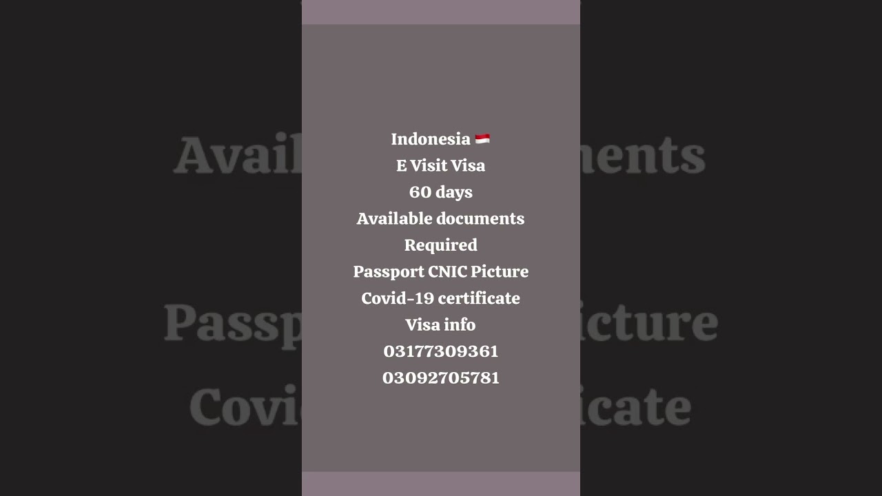 Indonesia🇮🇩E Visit Visa 60days Available (Indonesia Visit Visa ) SameerButt butttravelandtours