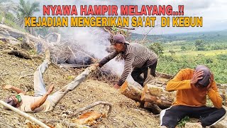 Download Lagu NYAWA HAMPIR MELAYANG..!! KEJADIAN MENGERIKAN SA'AT BEKERJA DI KEBUN MP3