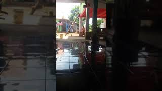 Mengejek Orang Gila Berak Di Celana/ponyy Mengejek Orang Gila Berak Di Celana/ponyy