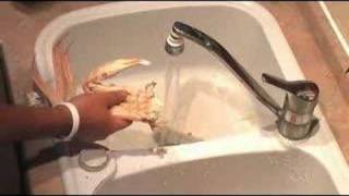 How to prepare and clean Snow Crab