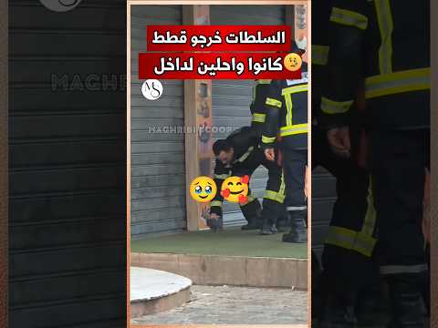 السلطات في هاد الازمة بينو على الجانب الإنساني لفيهم كنا ضالمينهم قطط فيضانات المغرب Short 