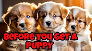 Top 5 MUST KNOW Facts Before Getting A Puppy by PawPrints Perfect 76 views 1 month ago 4 minutes, 51 seconds