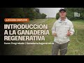 Curso ganadera regenerativa  leccin 1 introduccin a la ganadera regenerativa