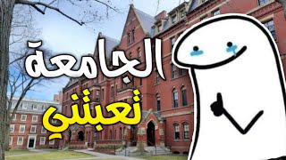 مضرطة الجامعة الما تخلص