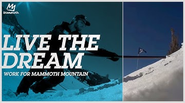 Live the dream - work for Mammoth Mountain!