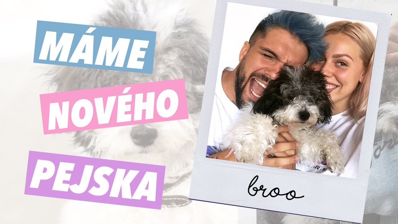MÁME NOVÉHO PEJSKA - AMCO & ANY