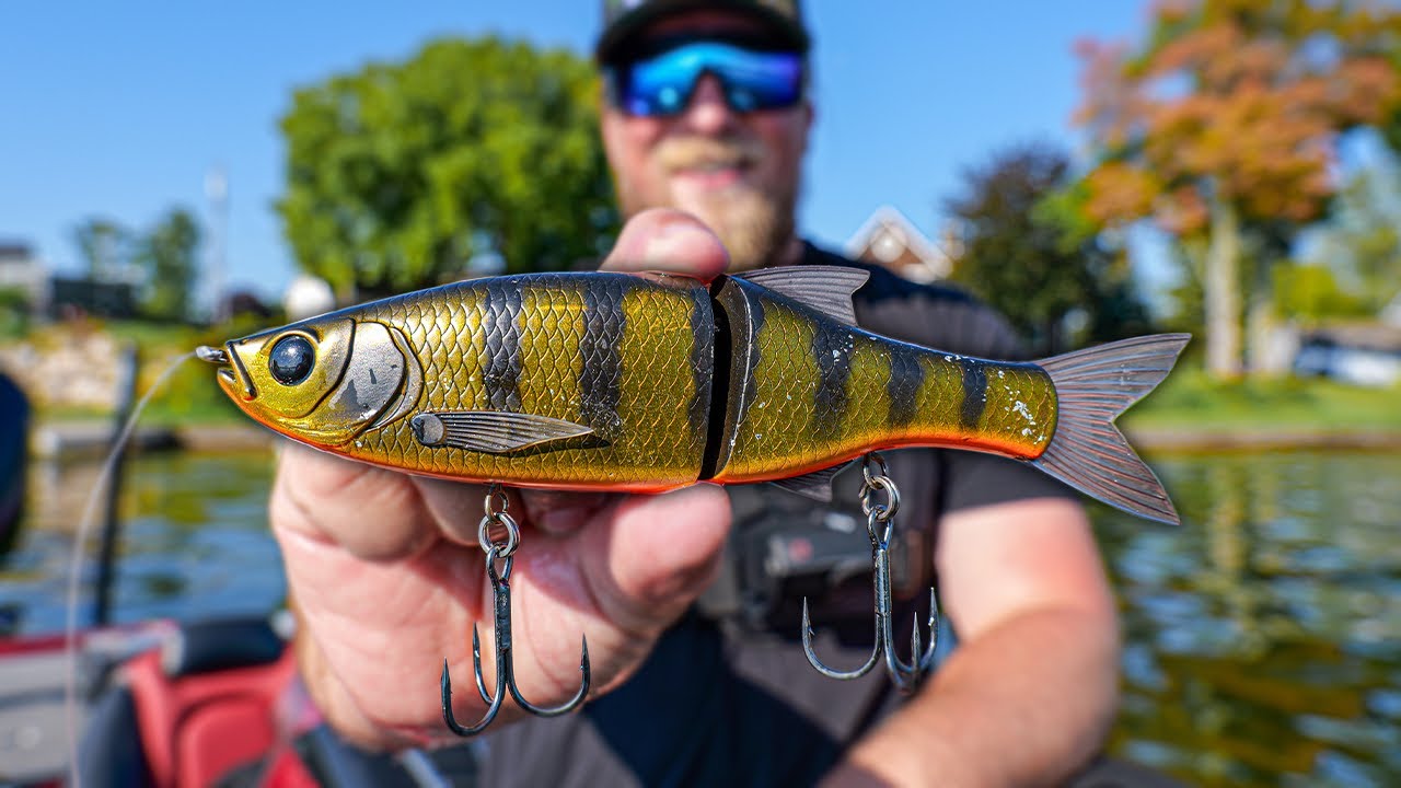 Glide Bait Fishing Made EASY! (Fall Fishing + GIANT Bass)