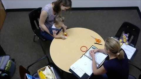 Bayley example: fine motor skills and problem solving