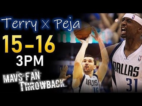 Peja Stojaković - Hot ᴴᴰ (NBA Career Mix) 