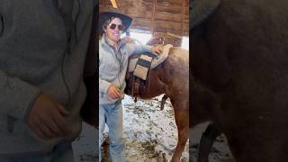 This Pad Must Feel Really Good