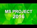 Microsoft Project & Project Online