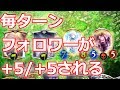 セイレーンの涙採用!力比べダークアリスの"圧"【シャドウバース/Shadowverse】