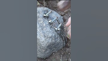 Best Decisive Moment18 Clipping Crack Rock Harf with Hand Chisel Hammer. Breaking The Rock #shorts