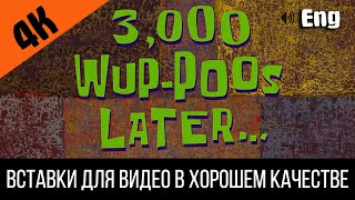 3000 Wup Poos Later / 3000 Какашек Спустя (?) | Spongebob Timecard Insert For Video / Видео Вставка