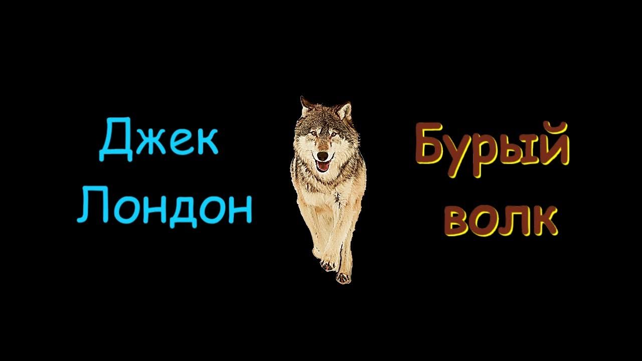 Тест бурый волк джек лондон 3 класс. Главные герои бурый волк. Дж. Тест бурый волк джек лондон 3 класс. Тест бурый волк джек лондон 3 класс.