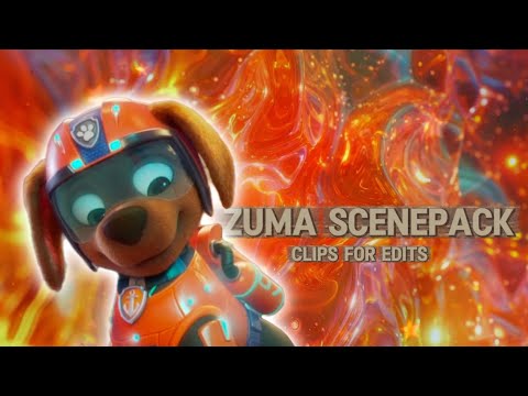 Paw Patrol Zuma Scenepack | 4k quality clips for edits