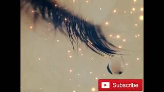 Status Mubarak Status Ul Adha Mubarak Eid Status Eid Mubarak Watsapp Status