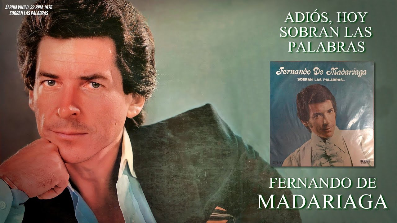 Adi S Hoy Sobran Las Palabras Fernando De Madariaga Viniloclip Audio