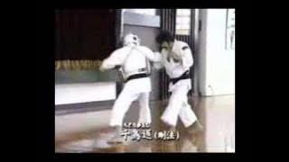 Shorinji Kempo Randori Samples, Aosaka Sensei