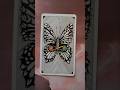 Tarot card of the day!