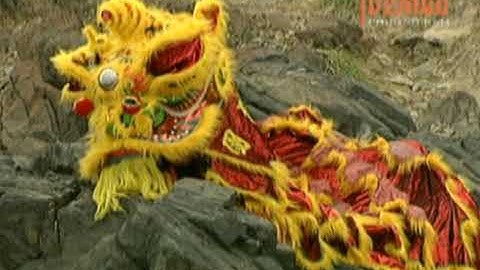 LÂN XUẤT ĐỘNG - HẰNG ANH ĐƯỜNG