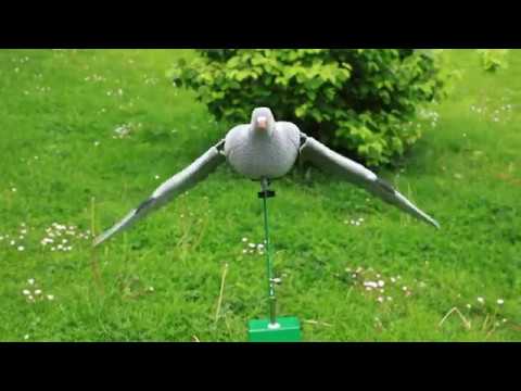 Appelant pigeon électrique à ailes battantes