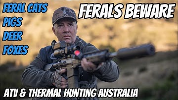 Afschot van verwilderde kat, varken, vos en hert || ATV-jacht || 308win & 6.5 PRC-geweer || Pulsa...