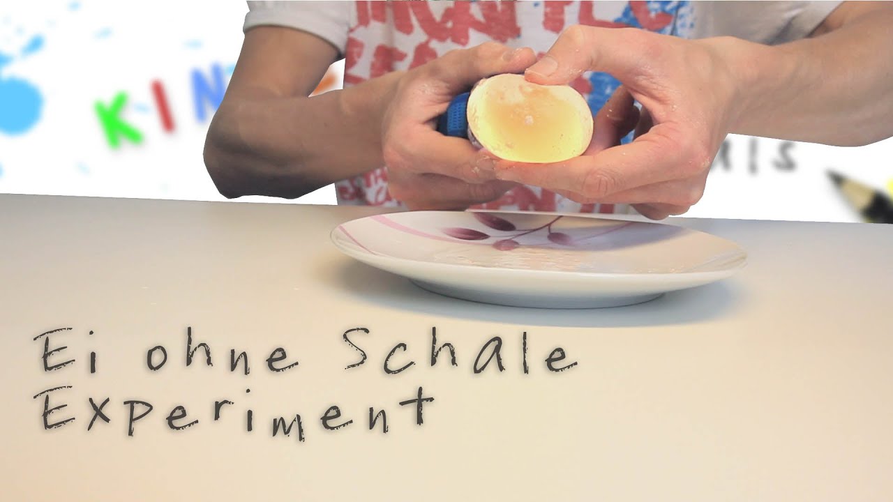 Ei ohne Schale Experiment zum nachmachen | Tutorial | deutsch - YouTube